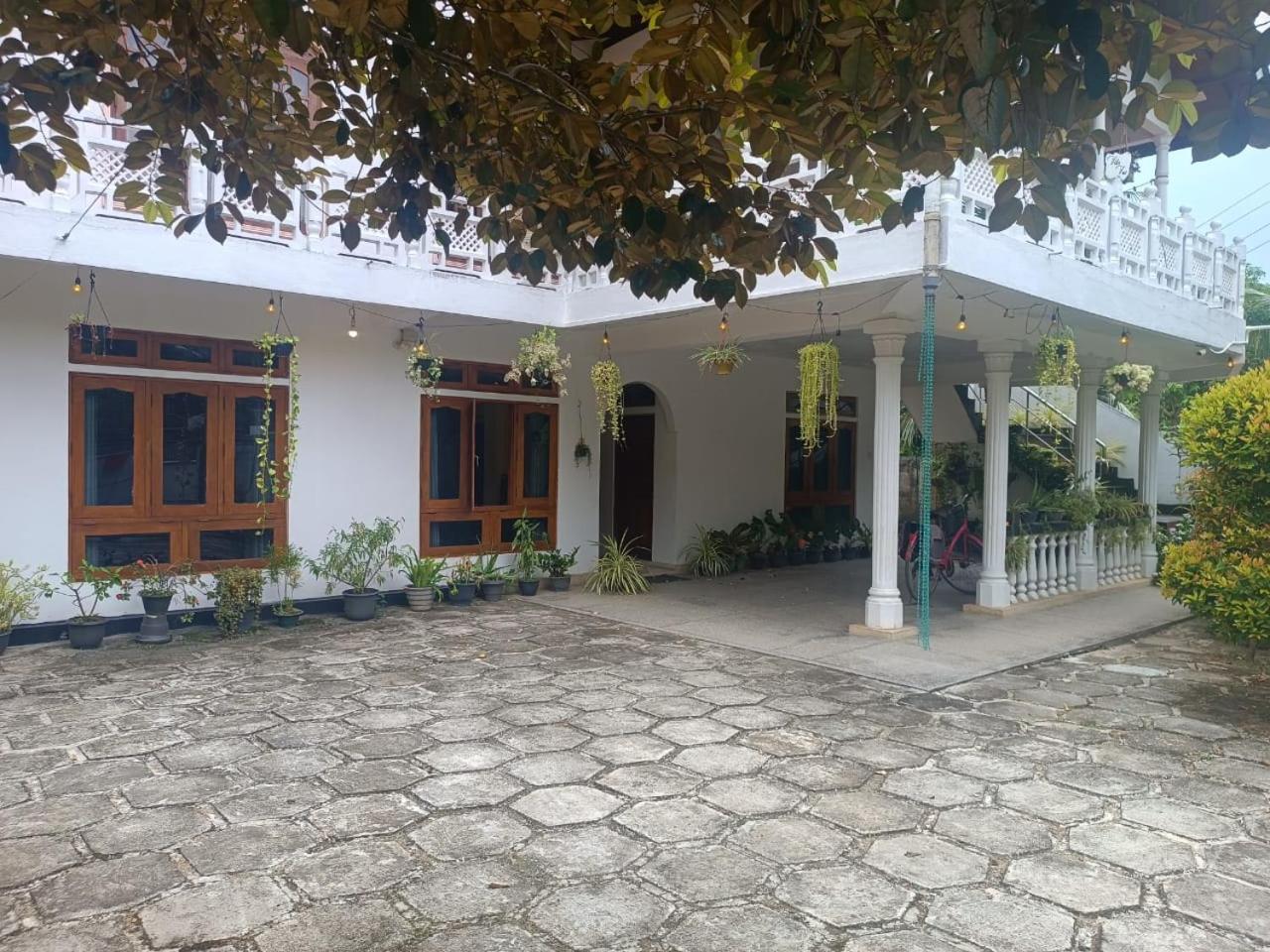 דירות אונה ואטונה Jungle House מראה חיצוני תמונה